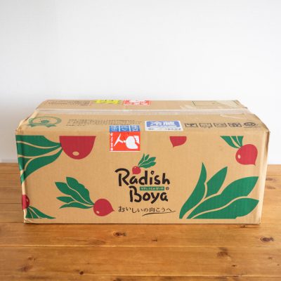 らでぃっしゅぼーやが届いた