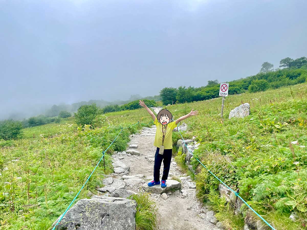 駒ヶ岳の遊歩道をさんぽ