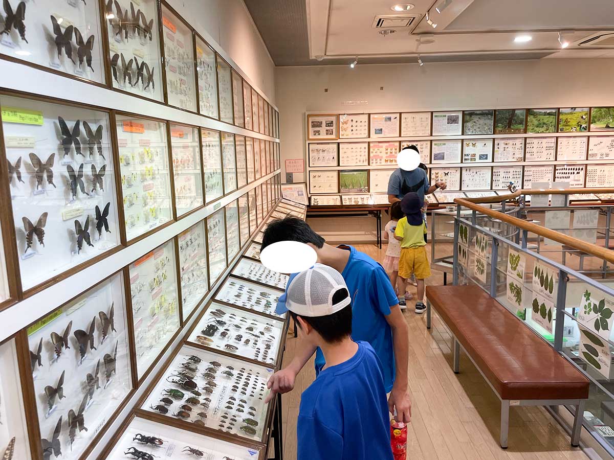 小坂田公園の博物館